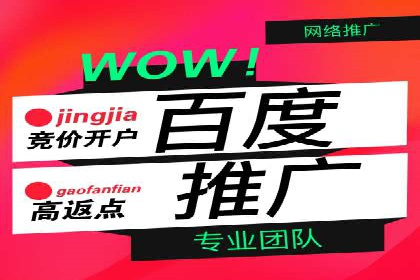 SEM推广策略：实战案例解析